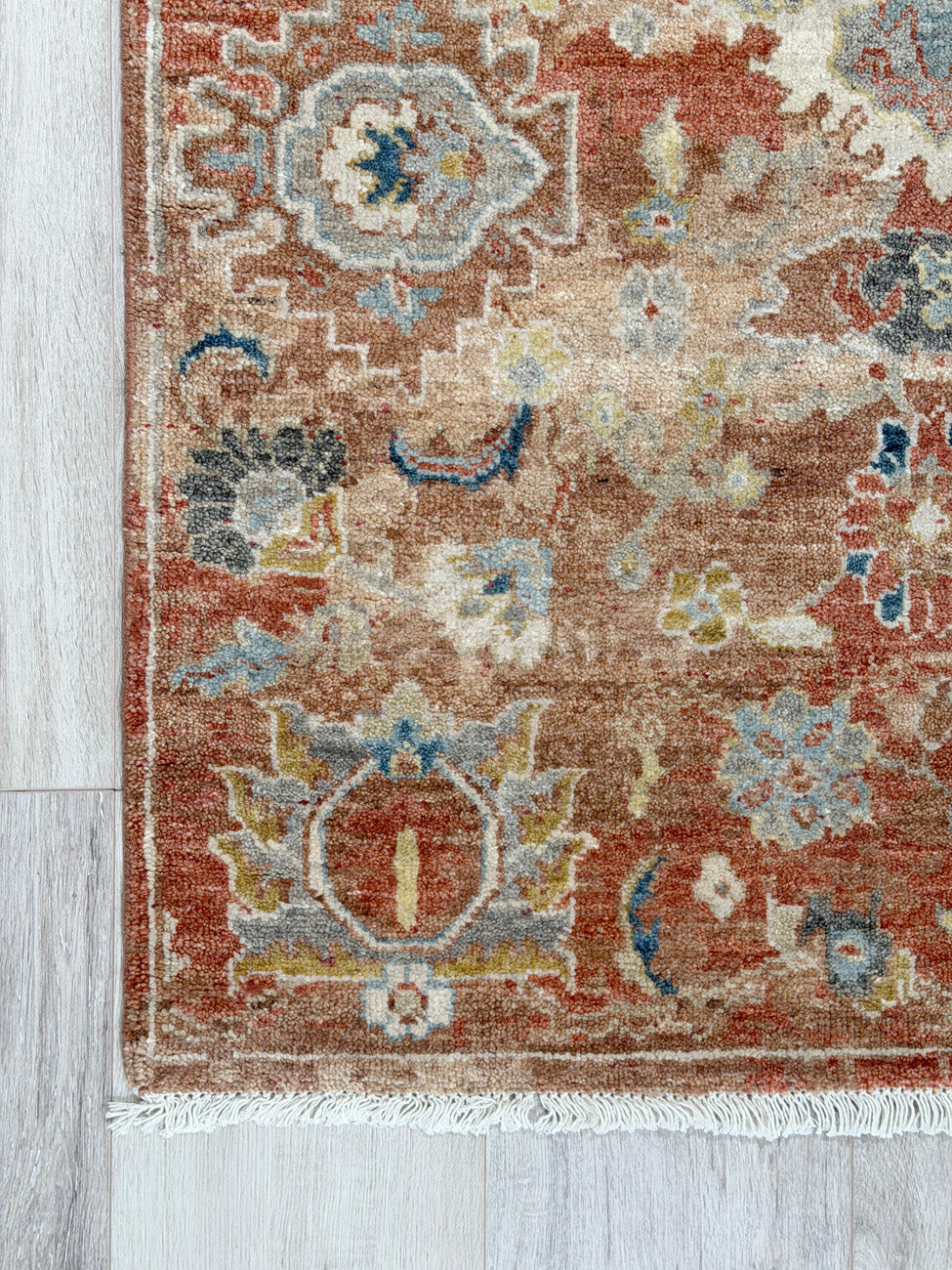 Zamora Russet