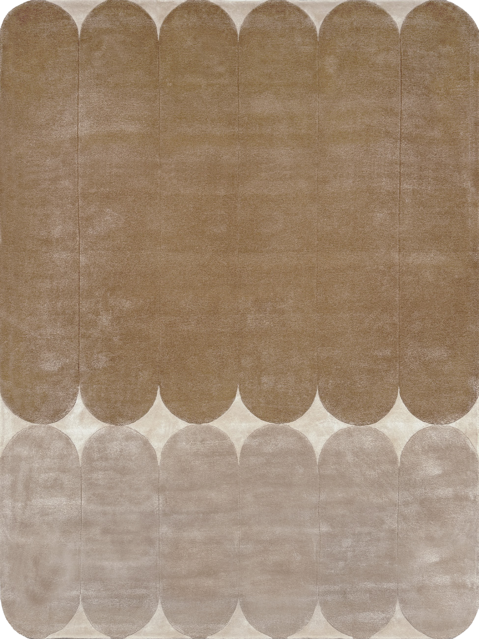 RoomvoTopDownImage