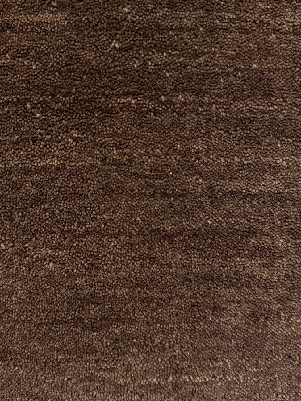 Ajmer Walnut