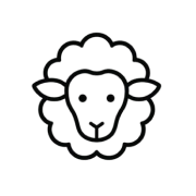 Display Image